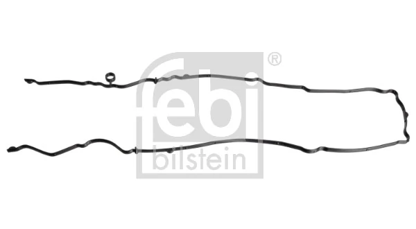 Gasket, timing case cover
